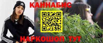 apvp Пугачёв