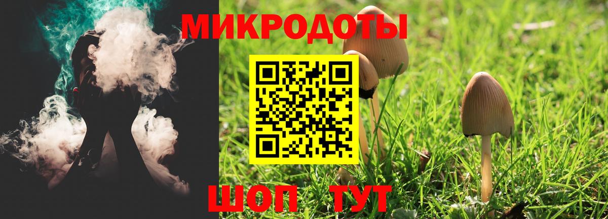 Сегежа  Псилоцибиновые грибы мицелий  Вход с VPN 
